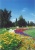 Gellért-hegy - egynyári virágkiültetés - '90-es évek