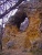vízmosta dolomitformáció az Apáthy-sziklán (Zeke T)