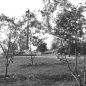 Gellért-hegy - Jubileumi park - '60-as évek