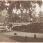 Parkrészlet az 1900-as évek elején