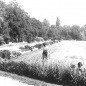 Virágoskert 1964