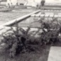Szanatórium kert 70-es évek